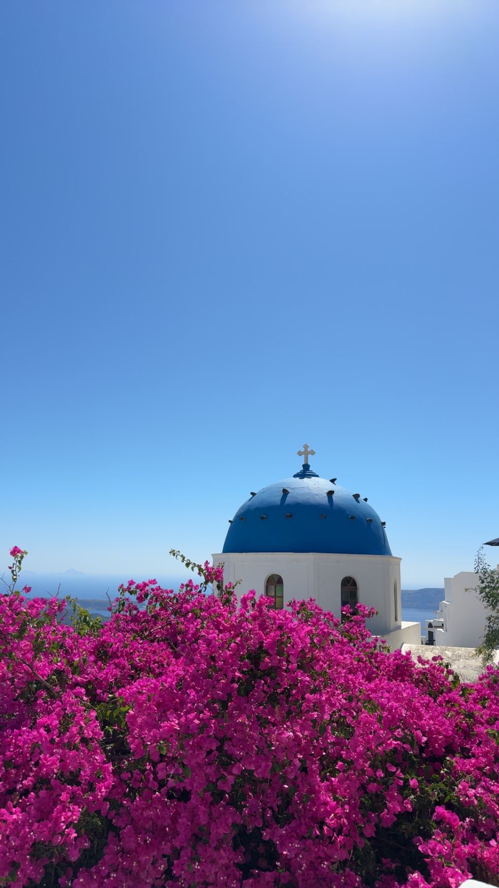 A blue domed church behind pink bougainvillea on Santorini